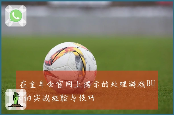 在金年会官网上揭示的处理游戏BUG的实战经验与技巧
