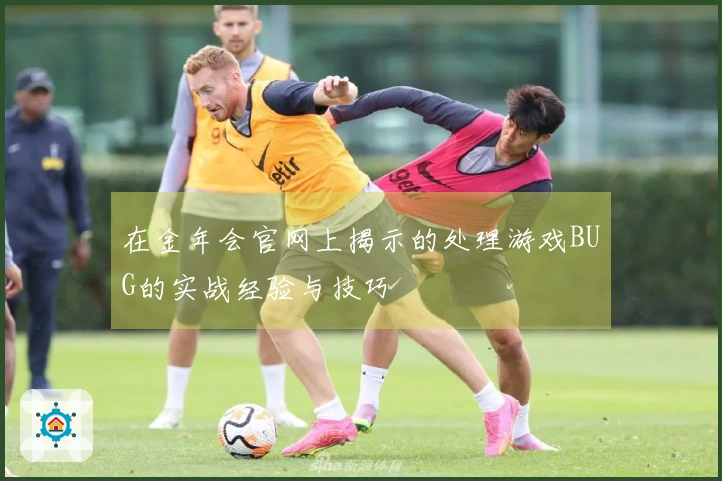 在金年会官网上揭示的处理游戏BUG的实战经验与技巧